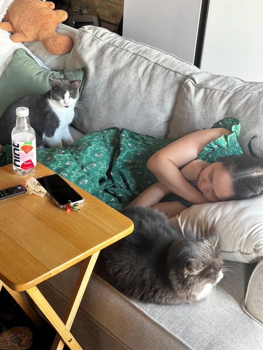 Two studio cats napping together