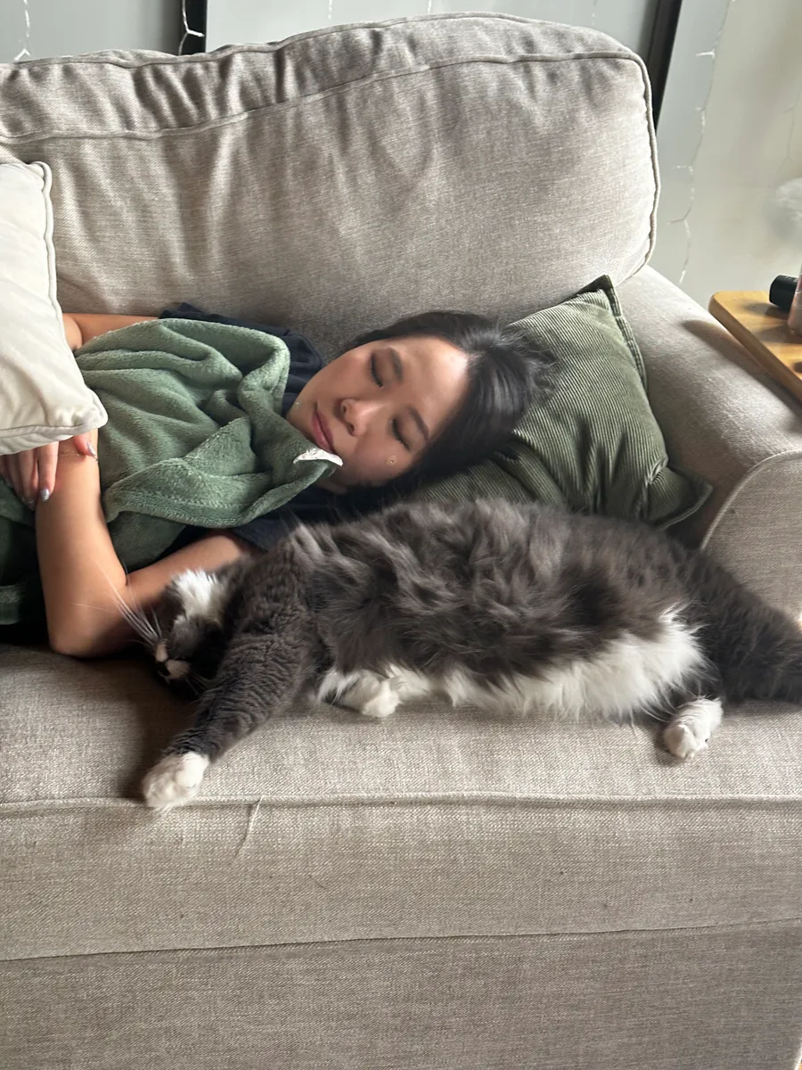 Zuko the cat napping